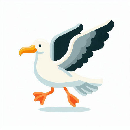 Seagull vector illustration. Isolated on a white background.のイラスト素材