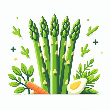 Fresh green asparagus with carrot and egg. Vector illustration.のイラスト素材