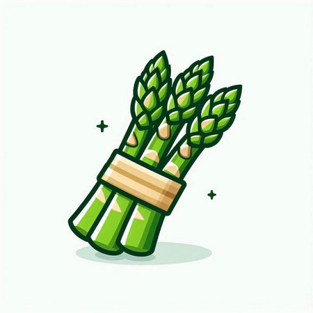 Asparagus icon isolated on white background. Vector illustration in flat style.のイラスト素材