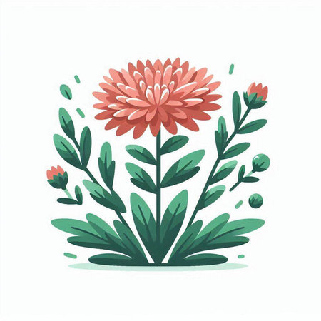 Chrysanthemum flower in flat style. Vector illustration.のイラスト素材