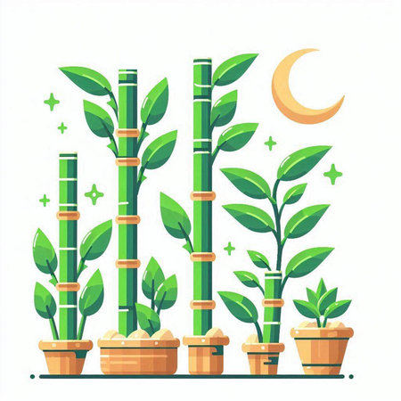Bamboo plants in pots, crescent moon and stars. Vector illustrationのイラスト素材