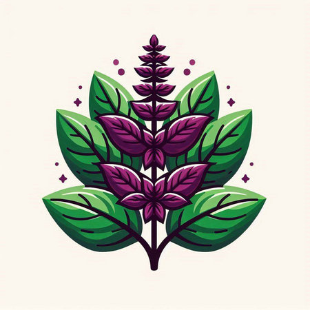 Illustration of a purple basil leaf isolated on a white background.のイラスト素材