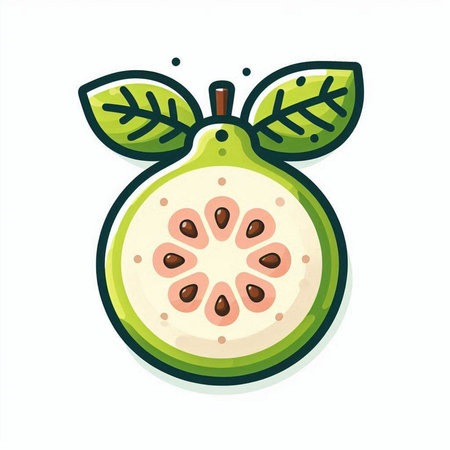 Fresh guava fruit isolated on white background. Hand drawn vector illustration.のイラスト素材