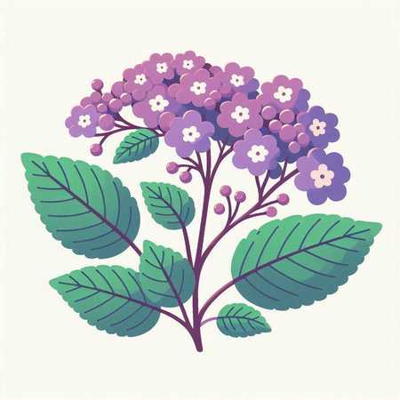 Bouquet of purple hydrangea flowers. Vector illustration.のイラスト素材
