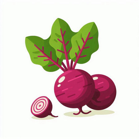 Beetroot vegetable isolated on white background. Vector illustration in cartoon style.のイラスト素材