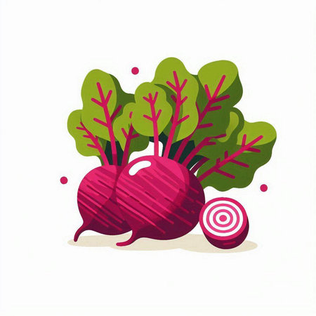 Beetroot and radish vector illustration isolated on white background.のイラスト素材