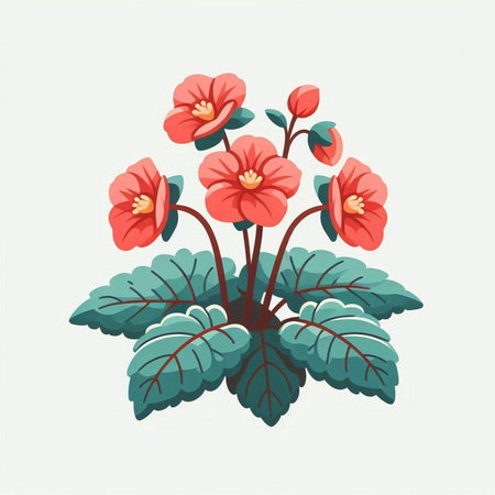 Illustration of a red begonia plant isolated on a white backgroundのイラスト素材