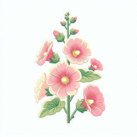 Pink hollyhock flowers isolated on white background. Vector illustration.のイラスト素材