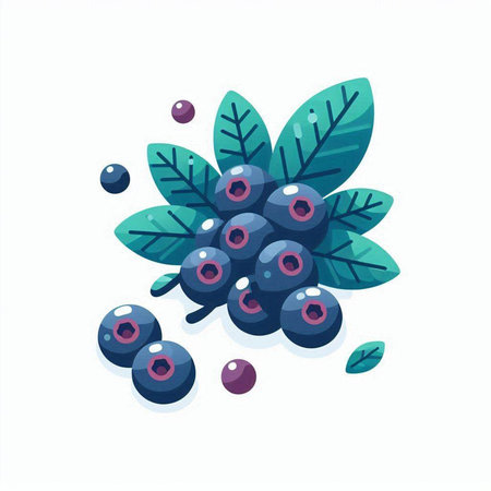 Blueberry berries with leaves isolated on white background. Vector illustration.のイラスト素材