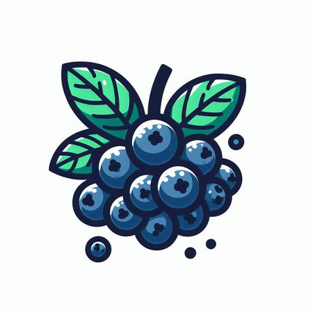 Blueberry vector illustration isolated on white background. Hand drawn berry.のイラスト素材