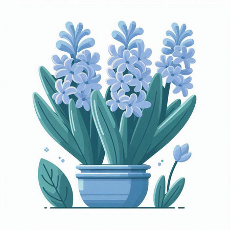 Blue hyacinths in a pot. Vector illustration in flat style.のイラスト素材
