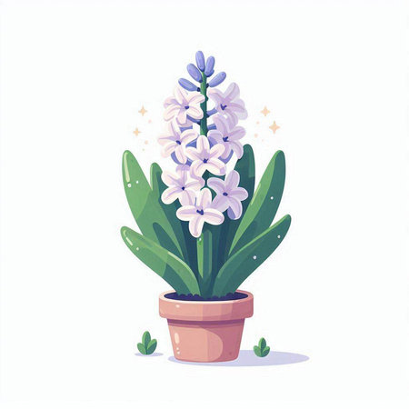 Flowering hyacinth in a pot. Vector illustration.のイラスト素材