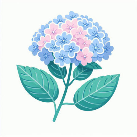 Hydrangea flower isolated on a white background. Vector illustration.のイラスト素材