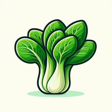 Bok choy vector illustration isolated on white background. Fresh vegetable icon.のイラスト素材