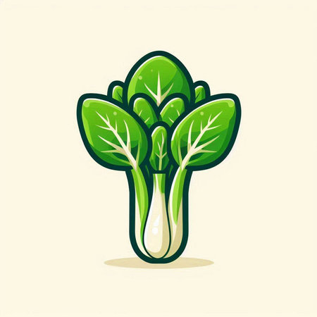 Bok choy vector illustration. Bok choy vegetable icon.のイラスト素材