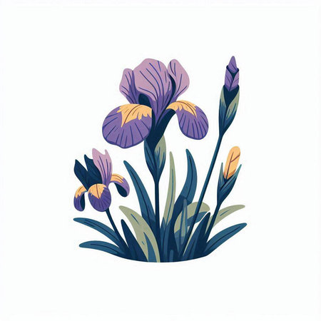 Violet iris flowers isolated on white background. Hand drawn vector illustration.のイラスト素材