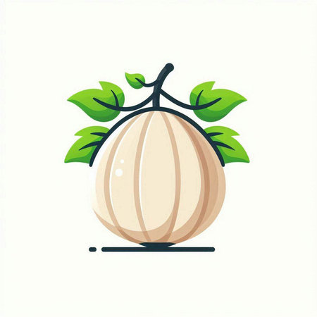 Illustration of a white melon with green leaves on a white backgroundのイラスト素材