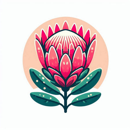 Flower of Protea. Vector illustration in flat style.のイラスト素材
