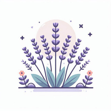 Lavender flower vector illustration. Hand drawn lavender flower.のイラスト素材