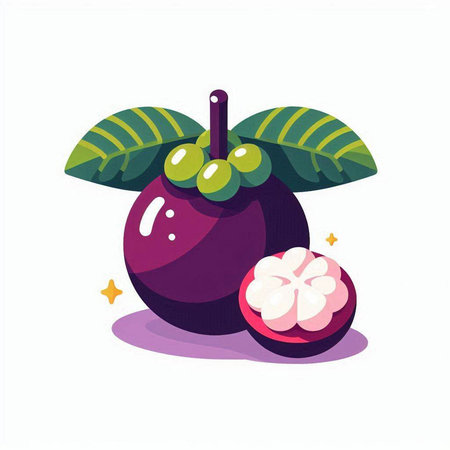 mangosteen fruit vector illustration isolated on a white background.のイラスト素材