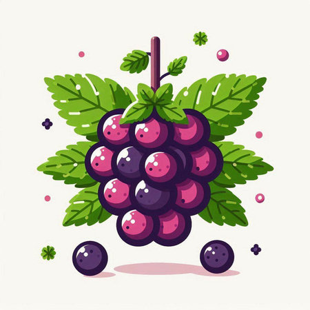 Grape with leaves. Vector illustration of a bunch of grapes.のイラスト素材