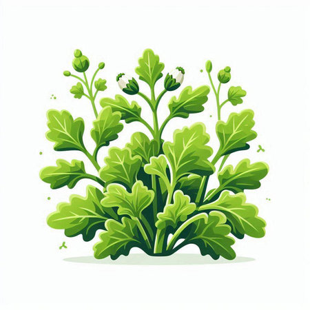 Bouquet of green leaves isolated on white background. Vector illustration.のイラスト素材
