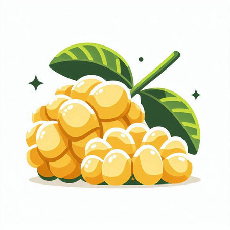 Rambutan fruit isolated on a white background. Vector illustration.のイラスト素材