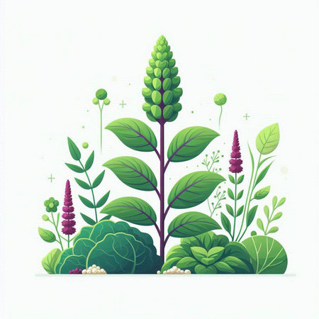 Vector illustration of a beautiful green plant on white background. Flat style.のイラスト素材