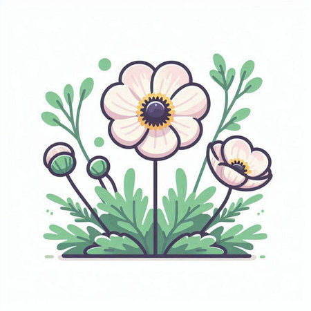 Hand drawn vector illustration of anemone flower. Isolated objects on white background.のイラスト素材