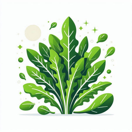 Green leaves of arugula on white background. Vector illustration.のイラスト素材