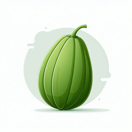 Illustration of a fresh green melon on a white background.のイラスト素材