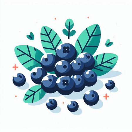 Blueberry vector illustration, flat cartoon style. Blueberry with leaves isolated on white background.のイラスト素材