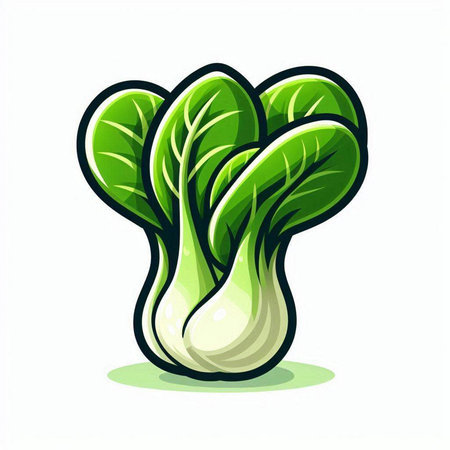 Bok choy icon isolated on white background. Vector illustration.のイラスト素材