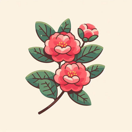Camellia flowers on a white background. Vector illustration.のイラスト素材