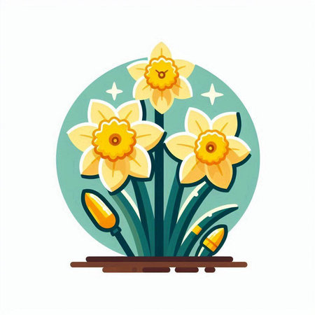 Flower daffodils, narcissus, vector illustration.のイラスト素材