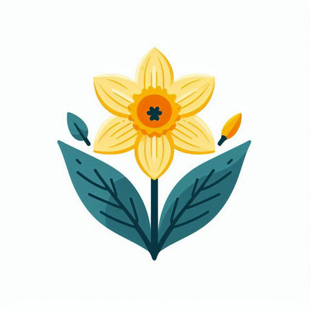 Daffodil flower. Hand drawn vector illustration isolated on white background.のイラスト素材