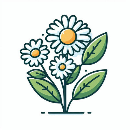 Chamomile flowers with leaves. Vector illustration in flat style.のイラスト素材