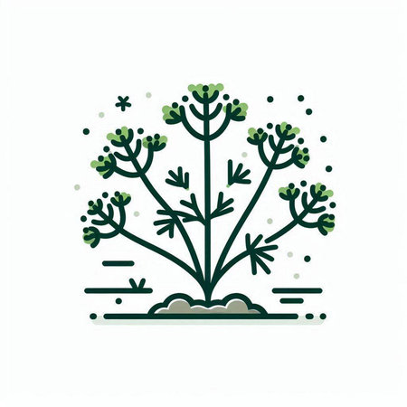 Coriander plant vector icon. Coriander linear illustration.のイラスト素材