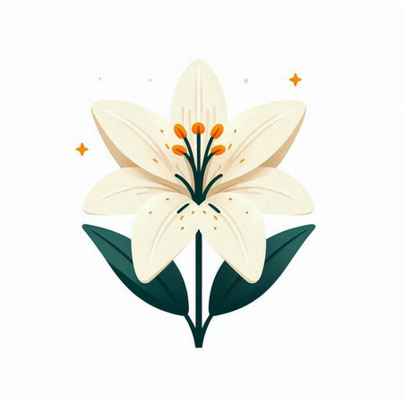 White lily flower isolated on white background. Hand drawn vector illustration.のイラスト素材