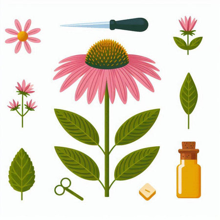 Set of essential oils, herbs and flowers. Vector illustration in flat style.のイラスト素材