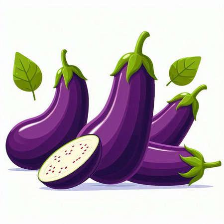 Illustration of fresh purple eggplants on a white background.のイラスト素材