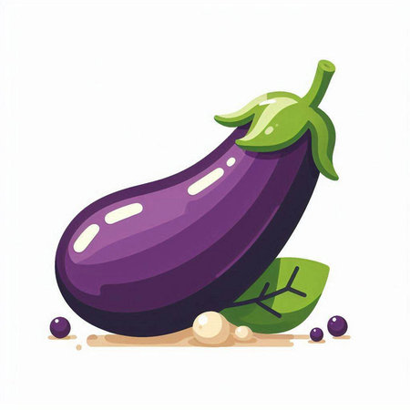 Illustration of purple eggplant on white background. Vector illustration.のイラスト素材