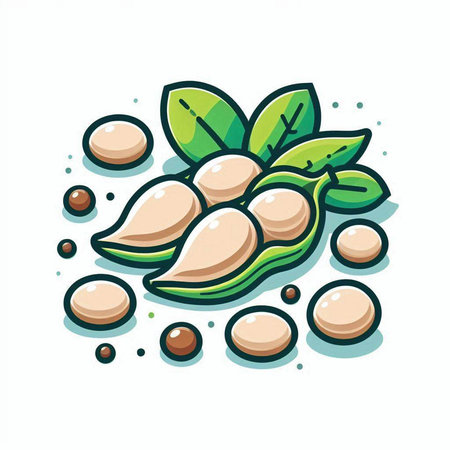 Soybean pods with leaves. Vector illustration of soybean pods.のイラスト素材