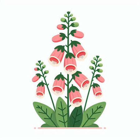 Foxglove flower isolated on white background. Vector flat illustration.のイラスト素材