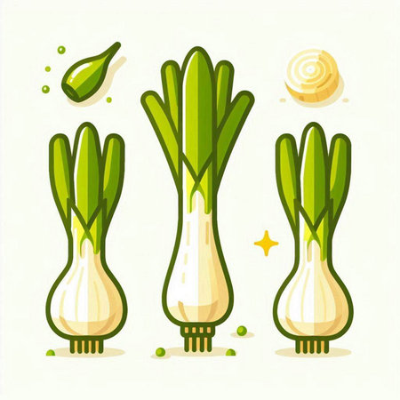 Green onion vector illustration isolated on white background. Fresh vegetable flat style.のイラスト素材