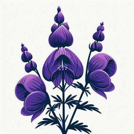 Illustration of purple lupine flowers on a white background.のイラスト素材