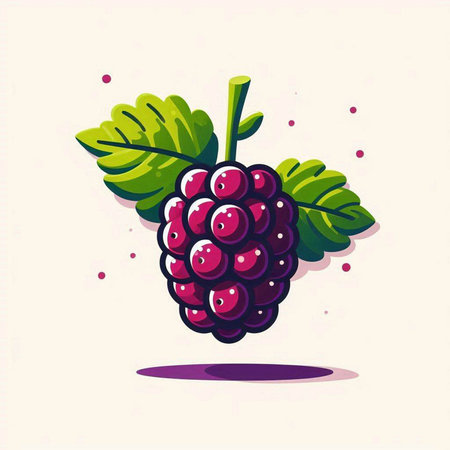Vector illustration of a blackberry with leaves on a white background.のイラスト素材