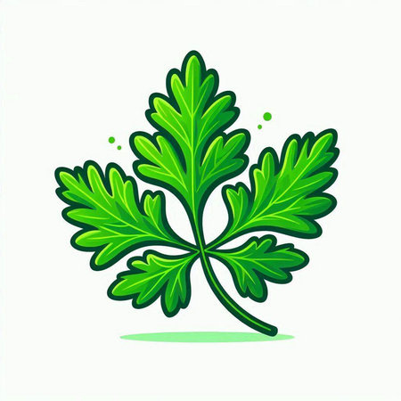 Parsley icon. Vector illustration of a parsley leaf.のイラスト素材