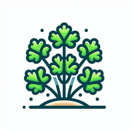 Coriander icon. Vector illustration of parsley in flat style.のイラスト素材
