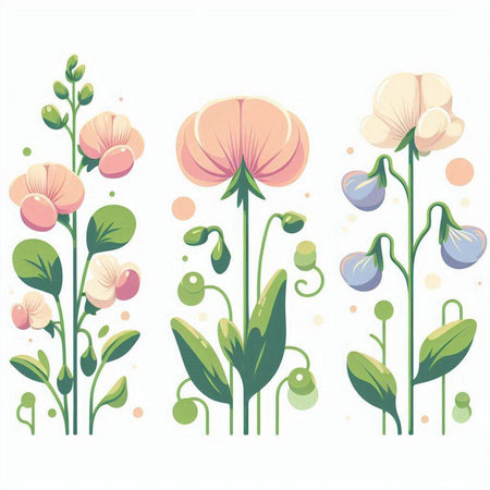 Flower set. Floral background. Vector illustration for your designのイラスト素材